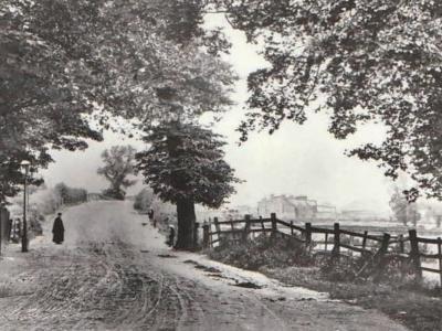 1903
