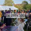 guests eat bbq by a marquee