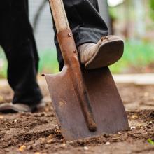 allotment spade image